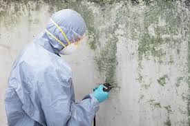 Best Industrial Mold Remediation in Girard, OH